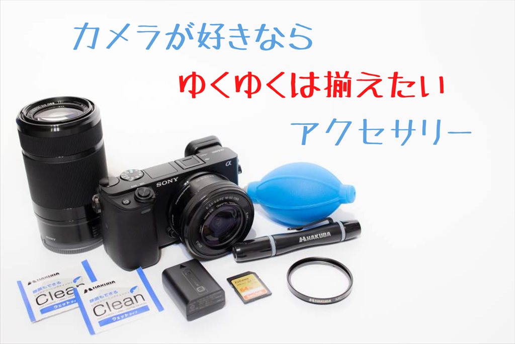 α6400/α6600を買ったらなるべく早く揃えたいアクセサリー5選＋α | digi