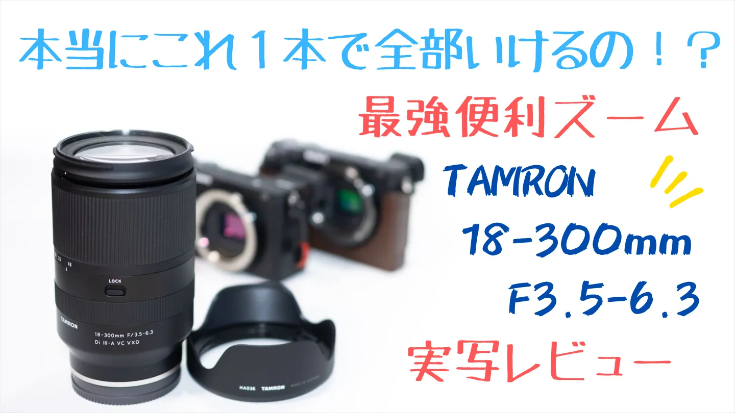 最強便利ズーム】TAMRON 18-300mm F3.5-6.3 レビュー｜これ1本で本当に