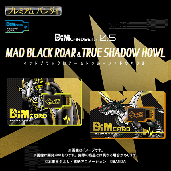 Dimカードセットvol.0.5 MAD BLACK ROAR&TRUE SHADOW HOWL | GOODS