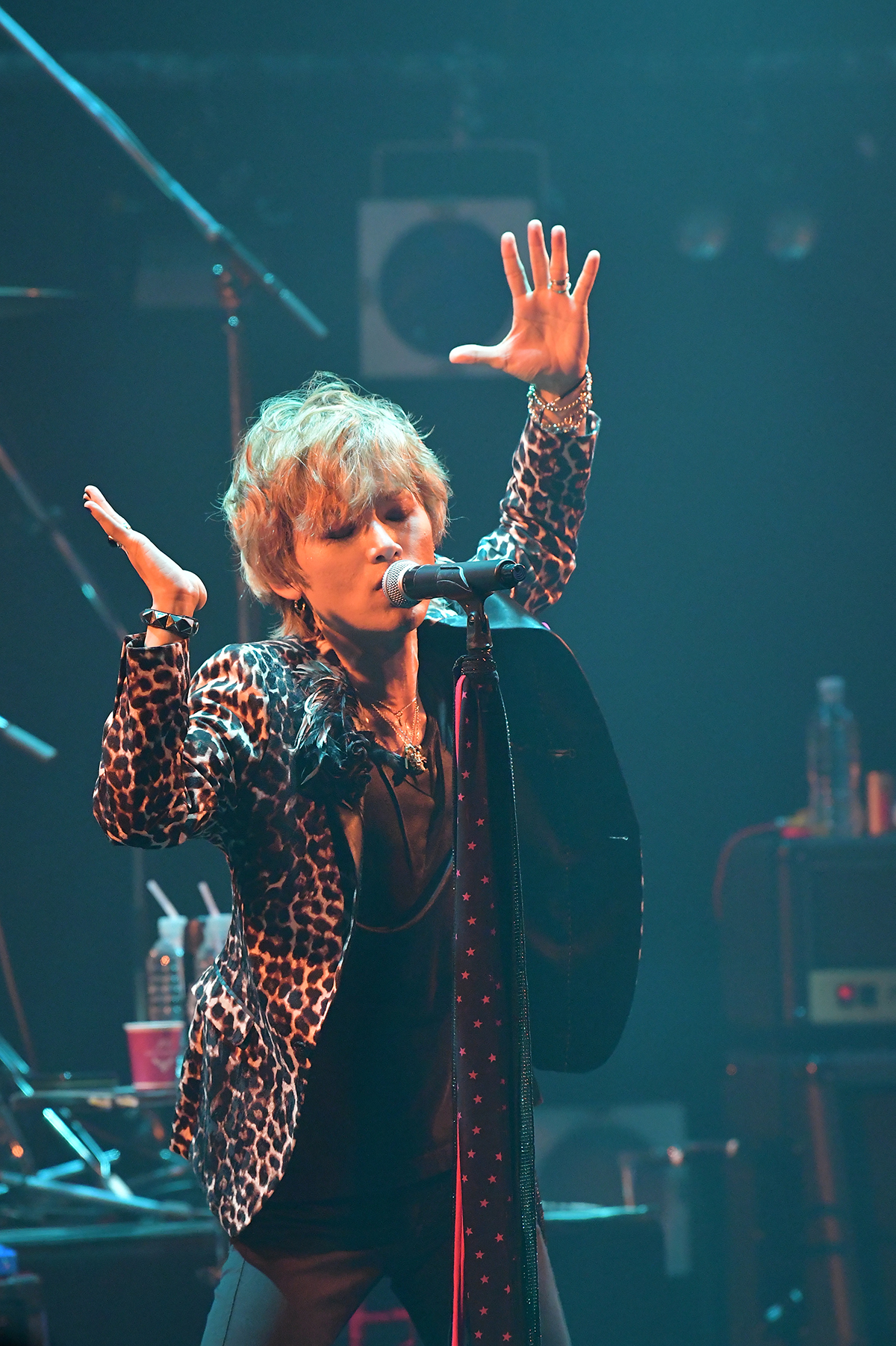 中島卓偉、VIVA LA BIG SUNSHINE TOUR～No.2 BIG SUNSHINE & BAD SPEED