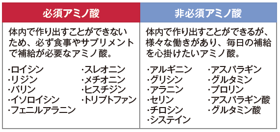 必須アミノ酸−X｜医療機関専用サプリメント通販｜MSSダイレクト