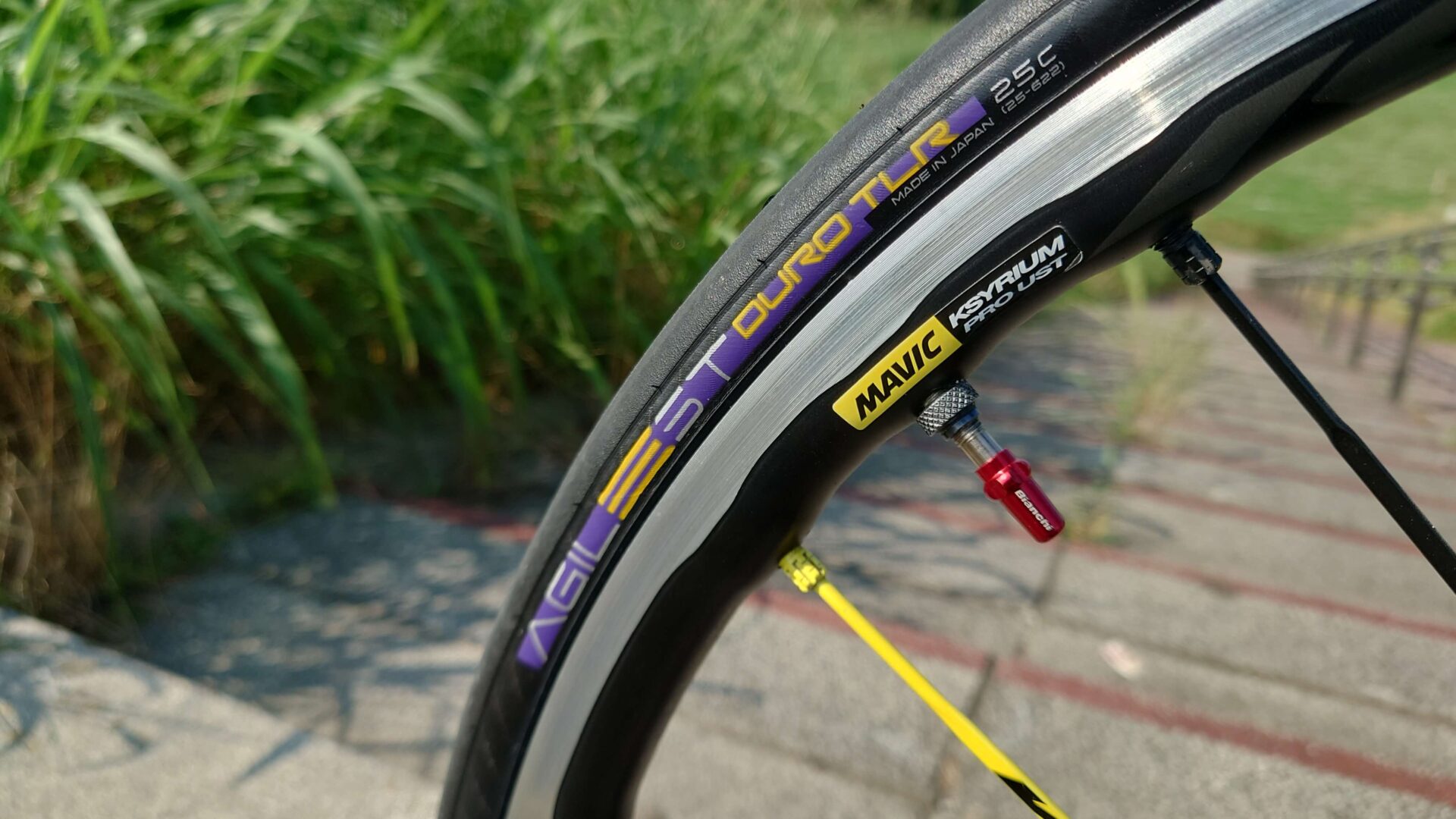 1000km経過レビュー】パナレーサー アジリスト DURO TLR【今度はデューロ】