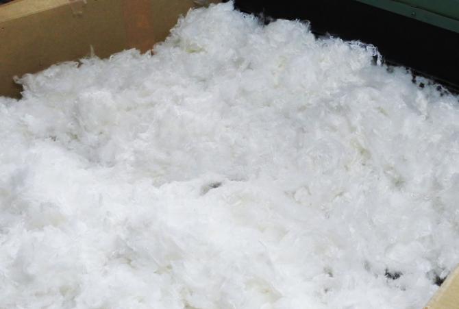 DOMINISTORE / DOMINISTOREオリジナル枕