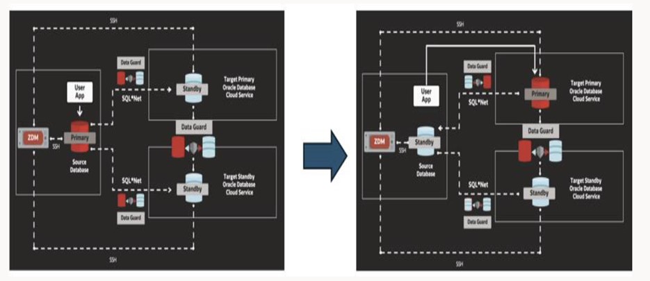 Implement Oracle Zero Downtime Migration 21.5 Cloud Native