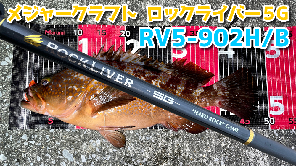 アコウロッドの最適解！ロックライバー902HBの特徴と実釣レビュー | ど