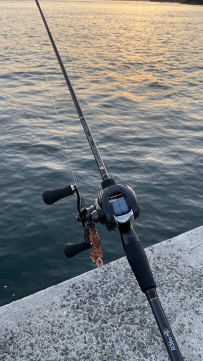 アコウロッドの最適解！ロックライバー902HBの特徴と実釣レビュー | ど