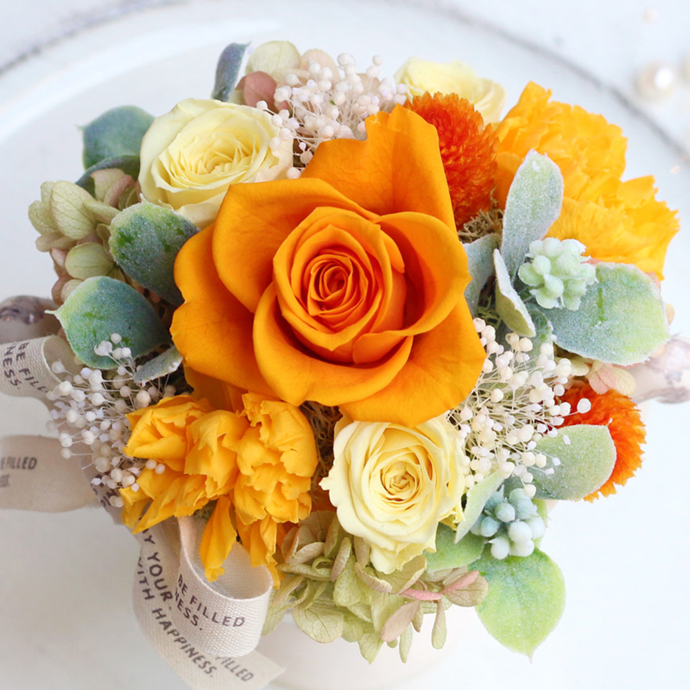 YourDays(レッド/オレンジ/ブルー) /プリザーブドフラワー【送料無料】