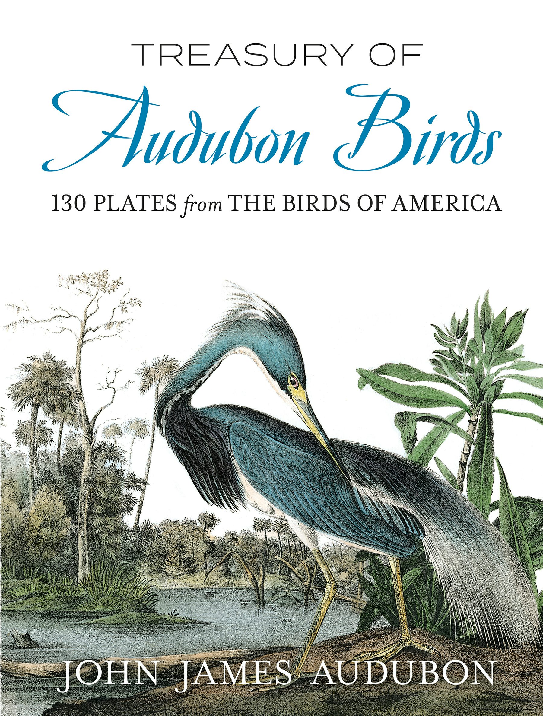 Treasury of Audubon Birds – Dover Publications