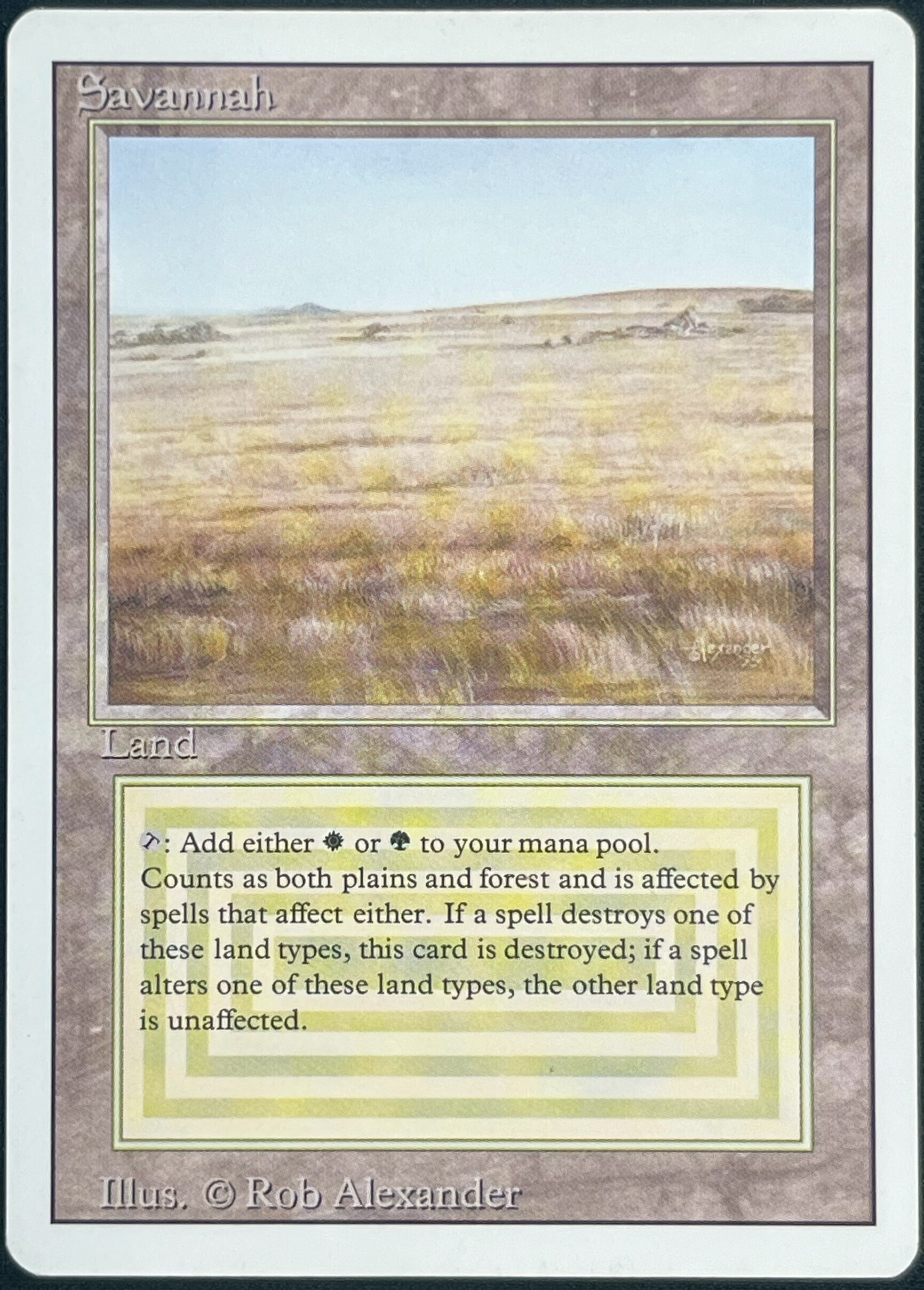 3ED)Savannah(MP)(EN)/(未訳) | 未登録 | ドラゴンスター | マジック