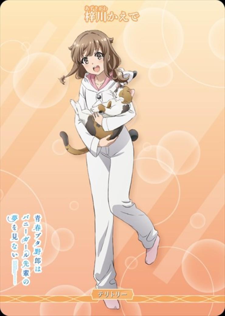 青春ブタ野郎はおでかけシスターの夢を見ない/梓川かえで(BB-SBS2