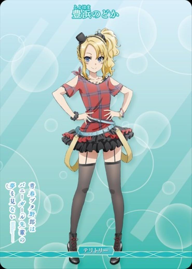 青春ブタ野郎はおでかけシスターの夢を見ない/豊浜のどか(BB-SBS2