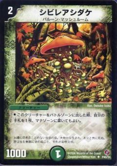 シビレアシダケ(PR)(P40/Y4) | プロモ | ドラゴンスター | デュエル