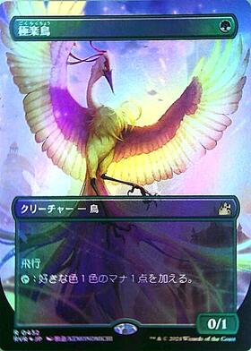 5ED)極楽鳥(97年)/BIRDS OF PARADISE | 神話レア・レア | ドラゴン