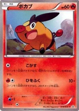 ポカブ(019/BW-P) | プロモ | ドラゴンスター | ポケモンカード