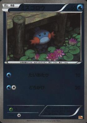 ミズゴロウ(109/XY-P) | プロモ | ドラゴンスター | ポケモンカード