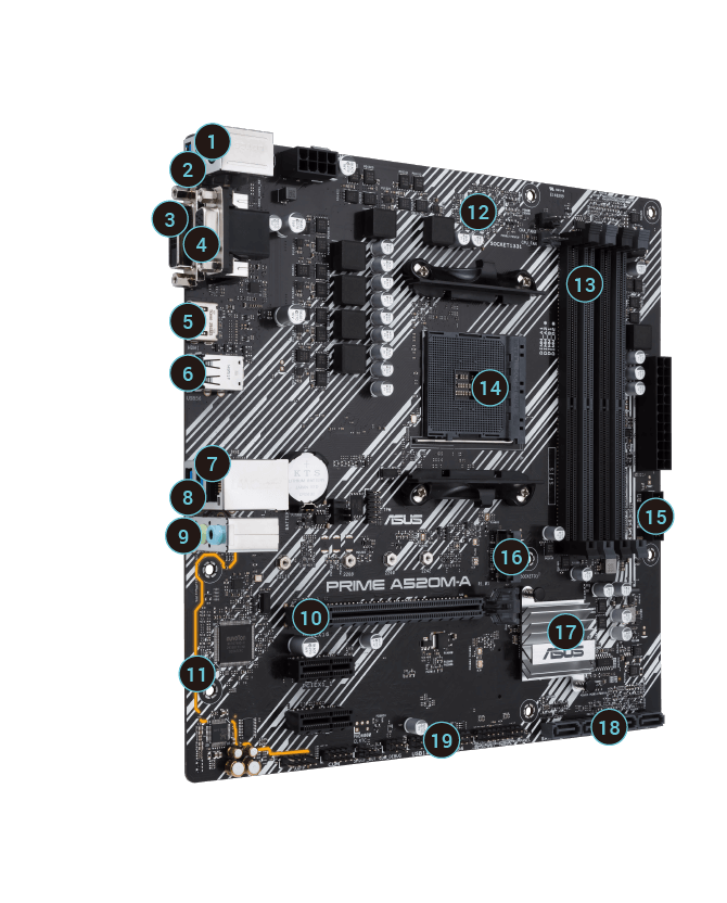 PRIME A520M-A/CSM｜Motherboards｜ASUS Canada