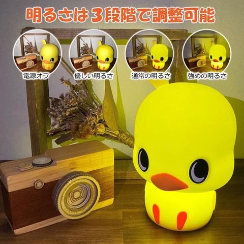 dショッピング |【企画品】チキンラーメン 66周年記念 ひよこちゃん