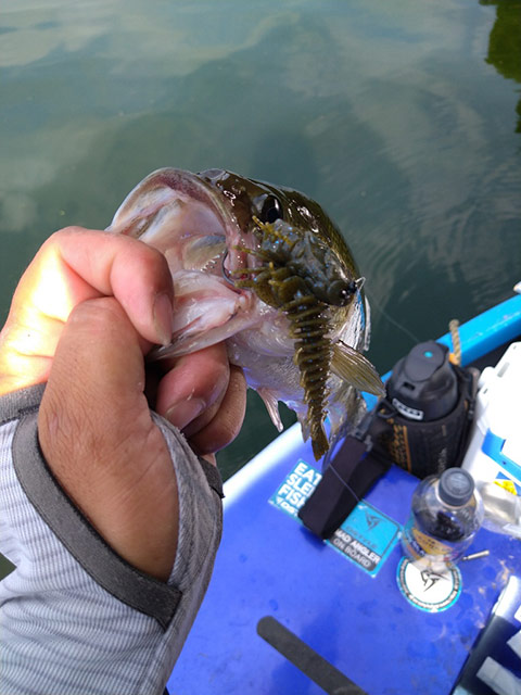 株式会社DSTYLE 公式サイト