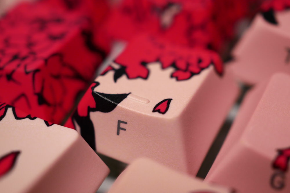 EgoisticArts Raven ”Sakura” レビュー – DPQP