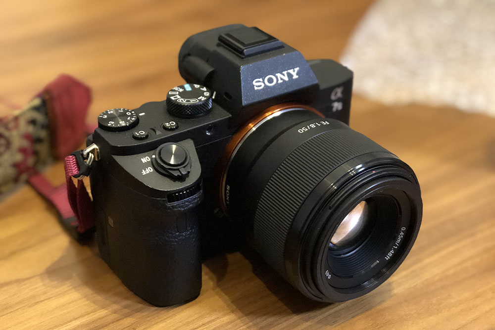 SONY FE50mm F1.8と、オールドレンズOLYMPUS F.ZUIKO 50mm F1.8を撮り