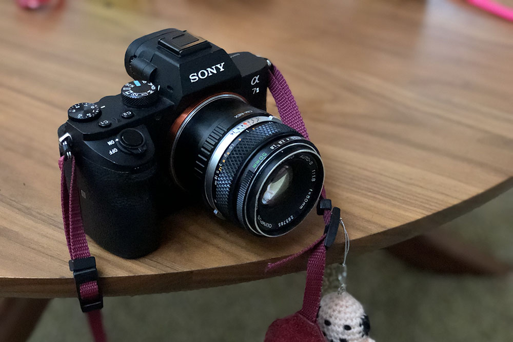 SONY FE50mm F1.8と、オールドレンズOLYMPUS F.ZUIKO 50mm F1.8を撮り