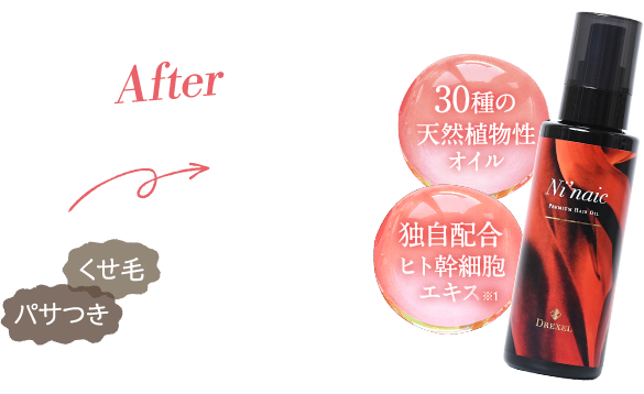 DREXEL ドレクセル Ni'naic ニネイク ヘアオイル 80ml ニネイク（Ni