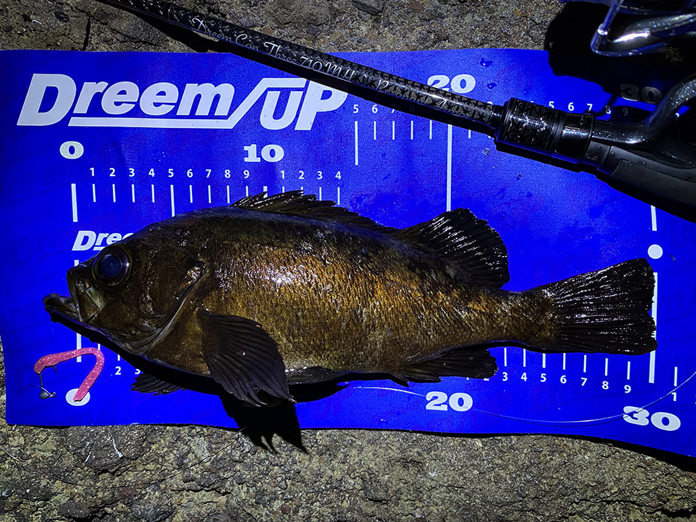 繊細な操作性とクラスを超えるパワーを兼ね備えたライトゲームロッド