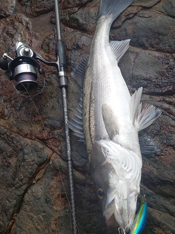 佐賀県唐津エリア】ドリームコンスリー810MH RAとドリームシャッド