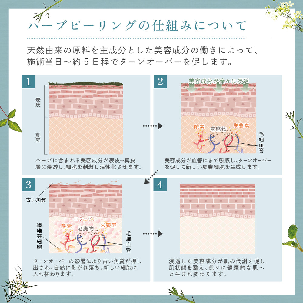 inst_herb_4_1000x.jpg?v=1724132128