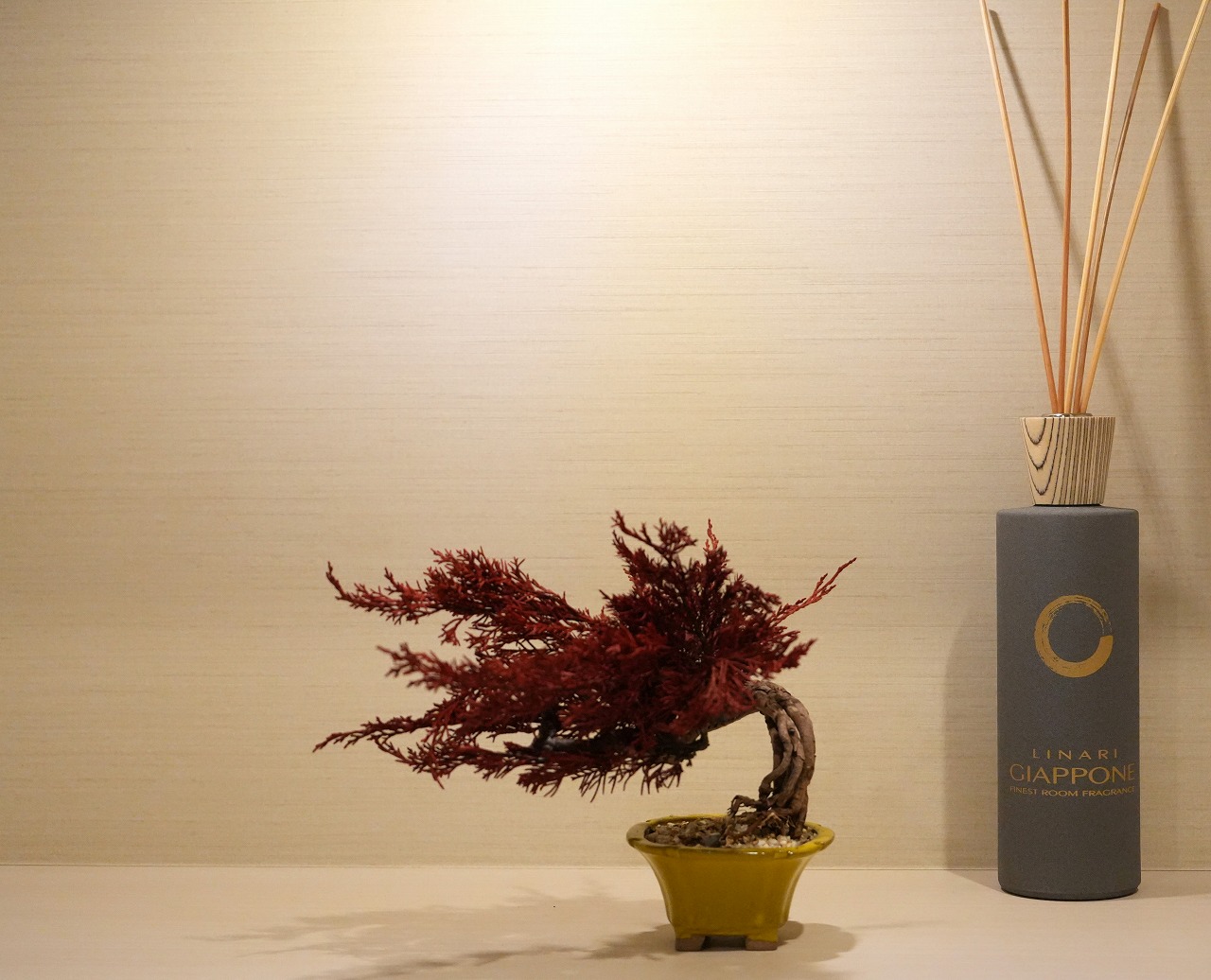 ドライ盆栽®【情熱Ⅰ】 DRY BONSAI | DRY BONSAI｜ドライ盆栽｜枯れ盆栽