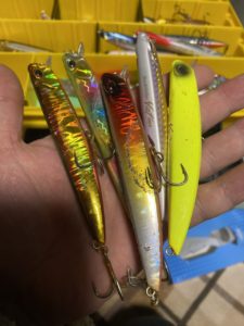 佐々木 友和(闇王)｜2023年 房総サーフヒラメ Start Fishing‼️釣果