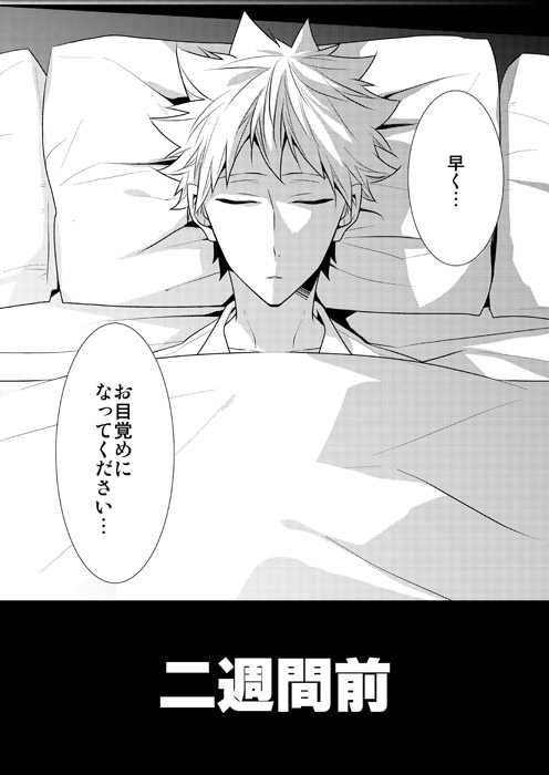 骸ツナ 秋吉緋月 同人誌① 家庭教師ヒットマンREBORN\u203c︎ 同人誌