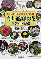 鐔鑑賞事典全2冊 佐藤寒山監修 編集代表 若山泡沫 雄山閣 R1504リ