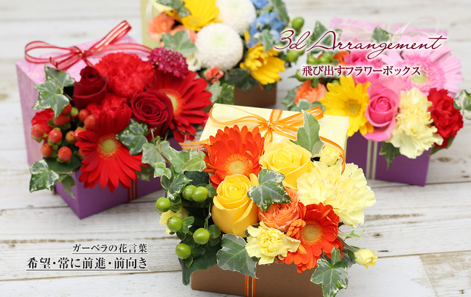 生花】飛び出すフラワーボックス3Dアレンジメント～ガーベラの花言葉は