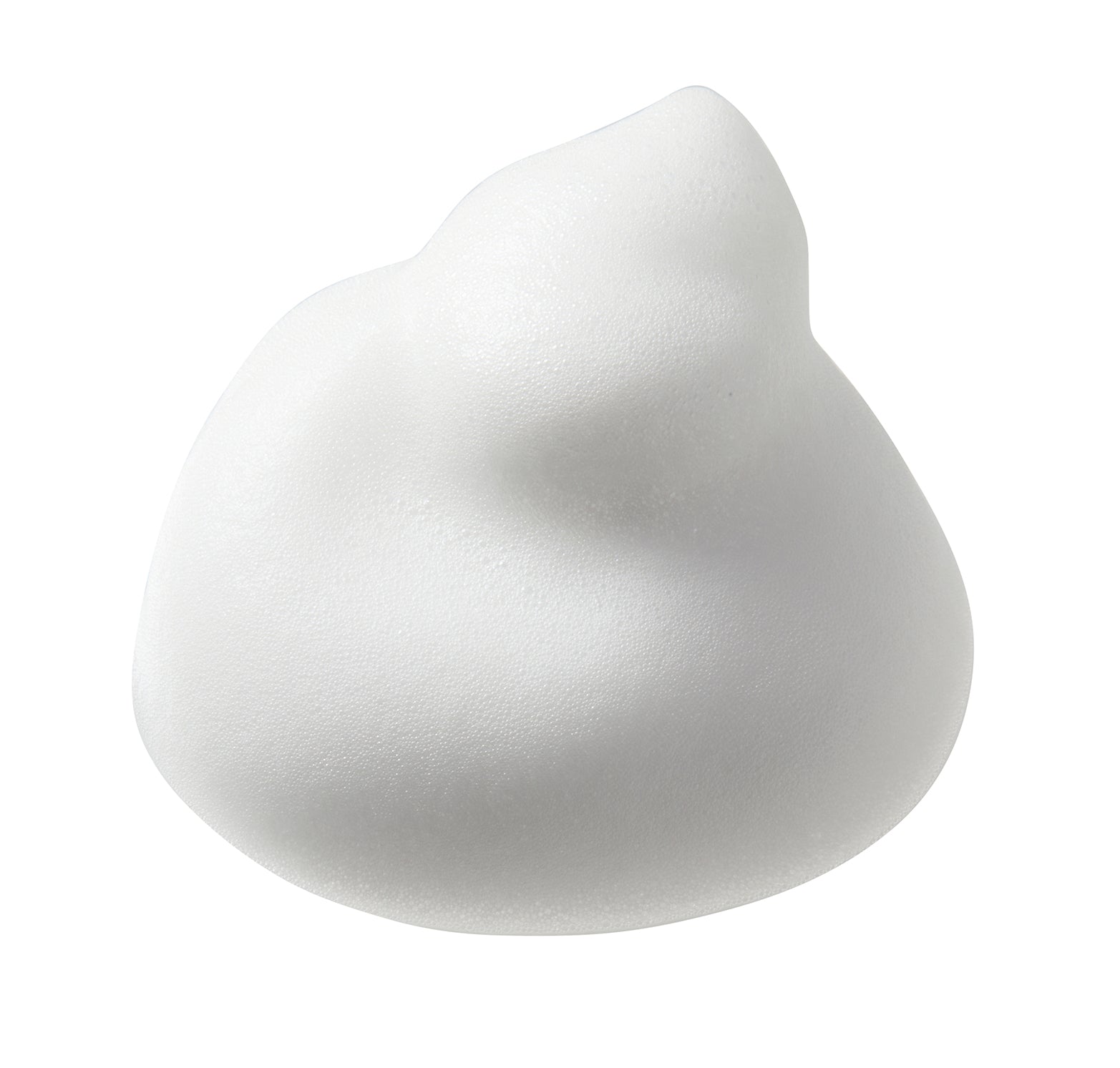 reint 保湿ケア泡洗顔｜スキンケア｜八海山オンラインストア