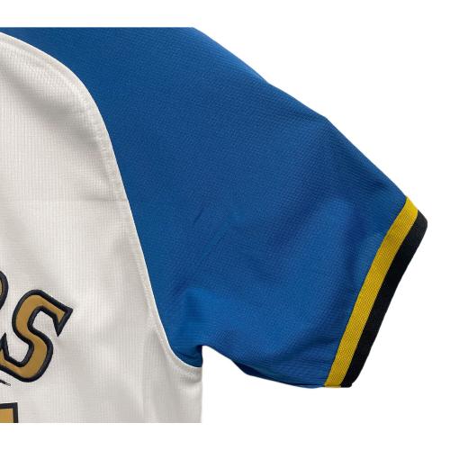 北海道日本ハムファイターズ (ホッカイドウニッポンハムファイターズ