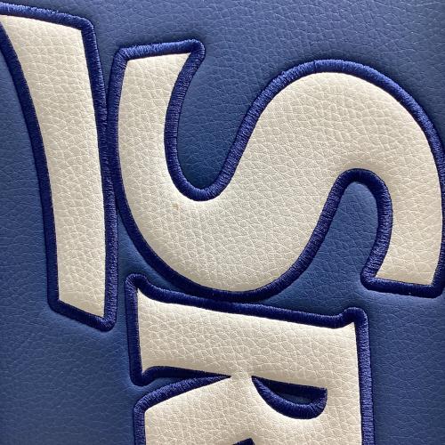 SRIXON (スリクソン) キャディバッグ スカイブルー 10型 5分割 全英