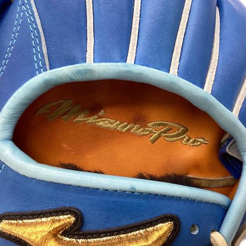 MIZUNO (ミズノ) 硬式グローブ スカイブルー 波賀ジャパン ケース・元