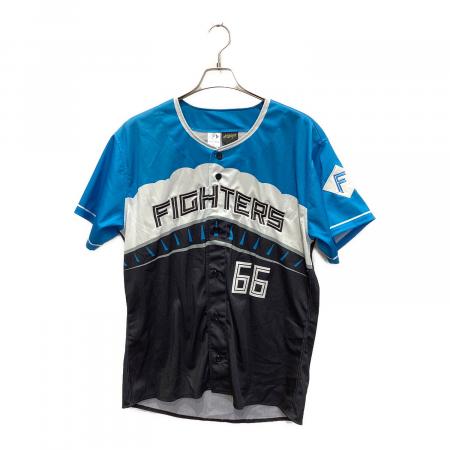 北海道日本ハムファイターズ (ホッカイドウニッポンハムファイターズ