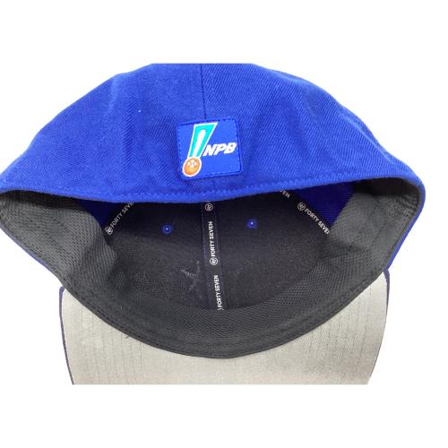 横浜DeNAベイスターズ (ヨコハマディーエヌエーベイスターズ) 応援