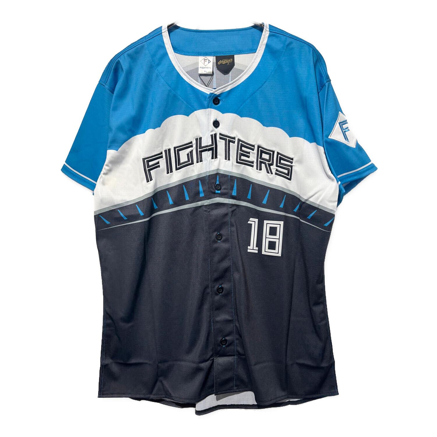 北海道日本ハムファイターズ (ホッカイドウニッポンハムファイターズ