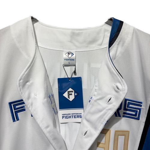 北海道日本ハムファイターズ (ホッカイドウニッポンハムファイターズ