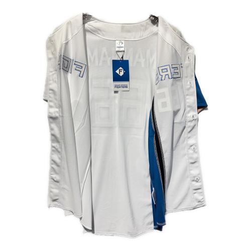 北海道日本ハムファイターズ (ホッカイドウニッポンハムファイターズ