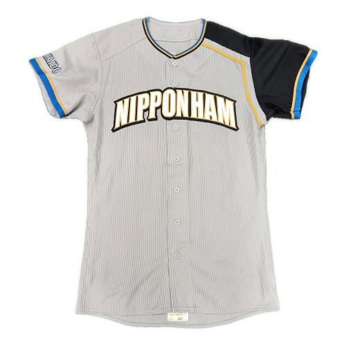 北海道日本ハムファイターズ (ホッカイドウニッポンハムファイターズ