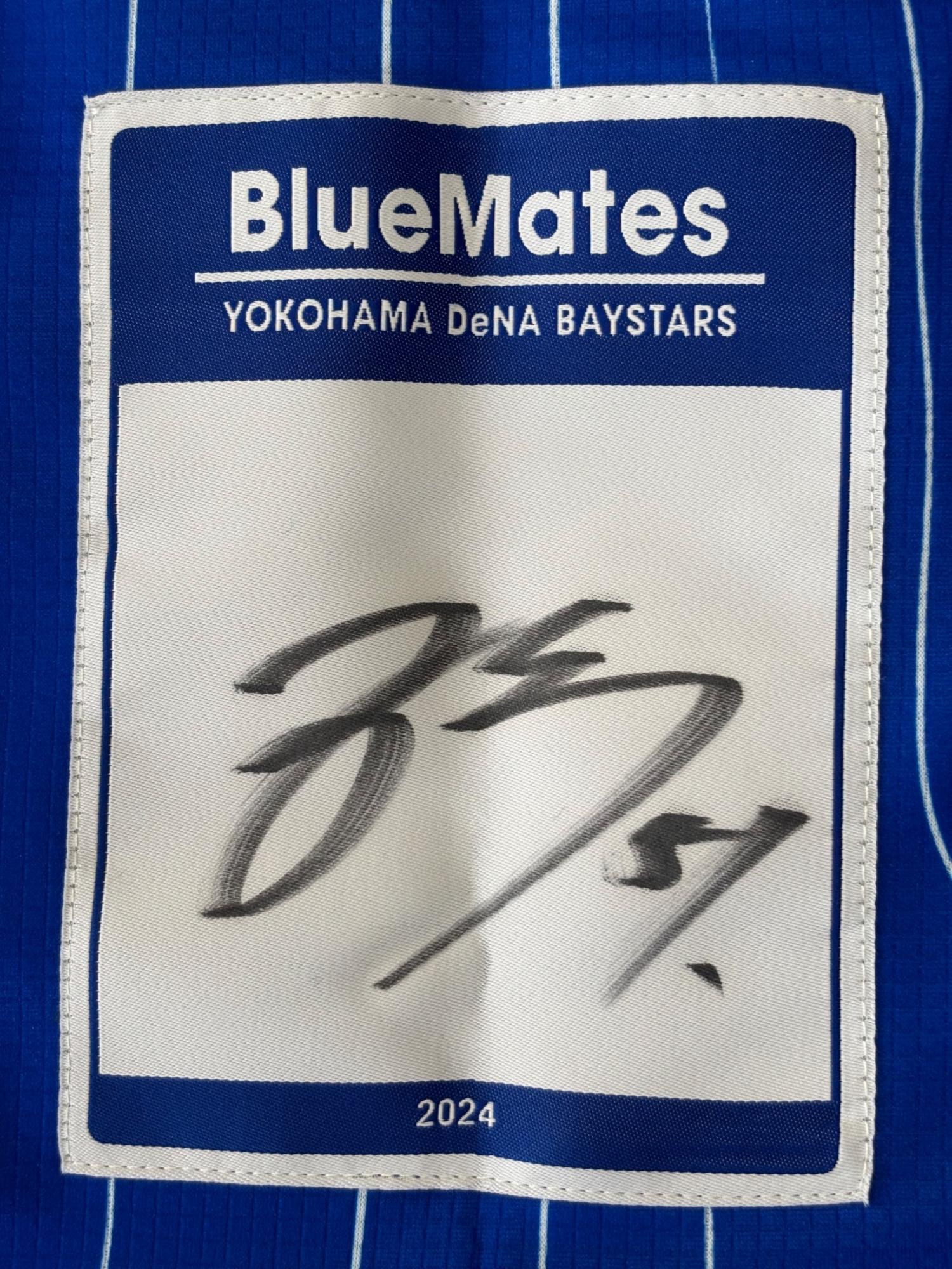 横浜DeNAベイスターズ (ヨコハマディーエヌエーベイスターズ) 応援