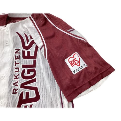 東北楽天ゴールデンイーグルス (トウホクラクテンゴールデンイーグルス