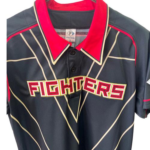 北海道日本ハムファイターズ (ホッカイドウニッポンハムファイターズ