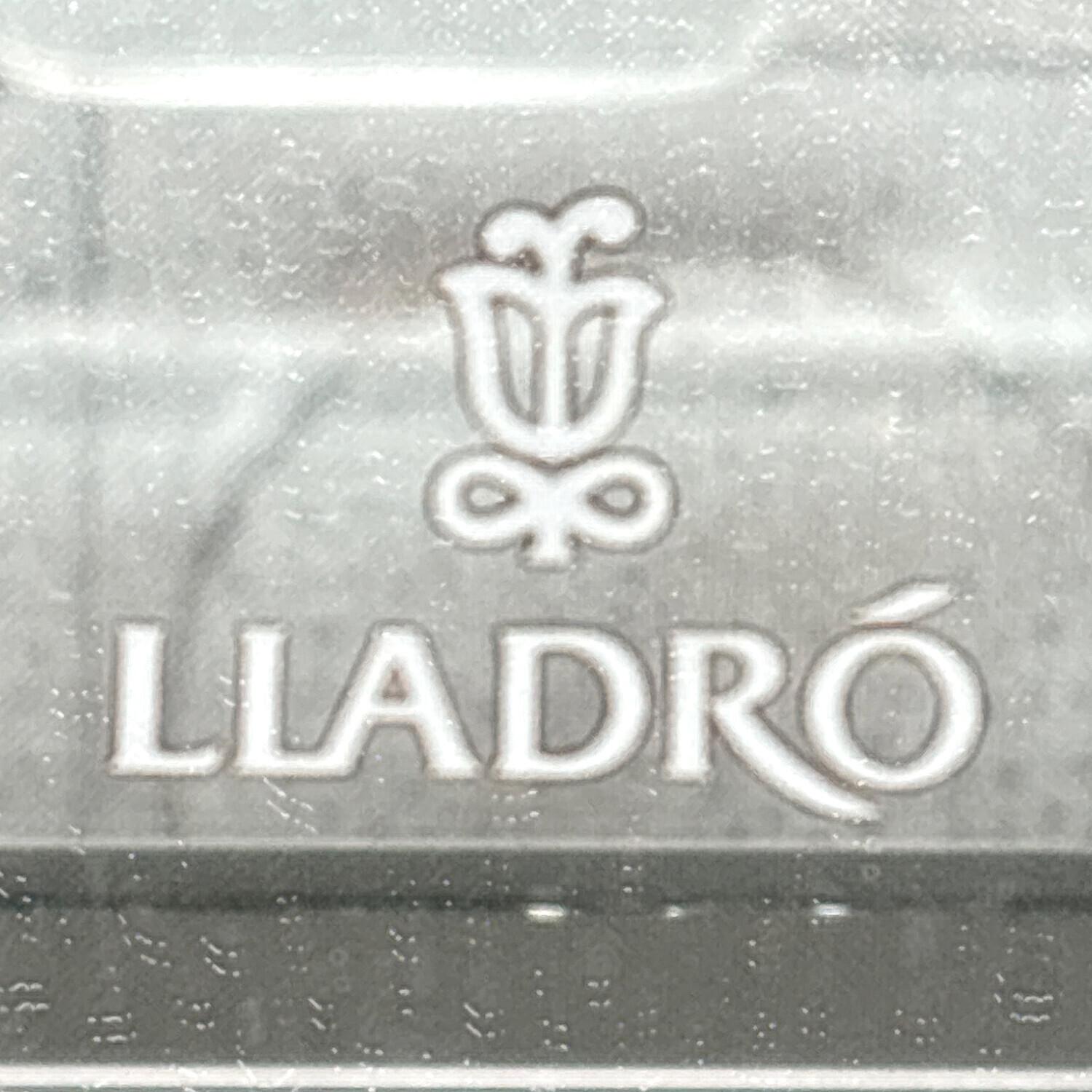 LLADRO (リヤドロ) ガラスケース グレー｜トレファクONLINE