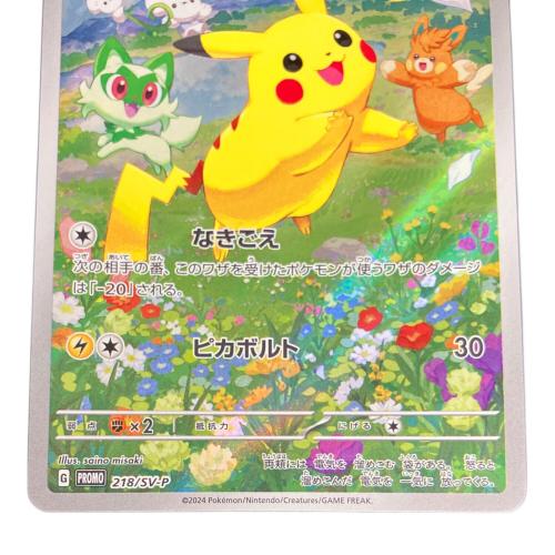 ポケモンカード ポケカの夏がキタ！プロモカードGetキャンペーン