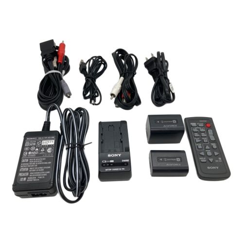 SONY (ソニー) ビデオカメラ 予備バッテリー付き 420万画素 SDXCカード